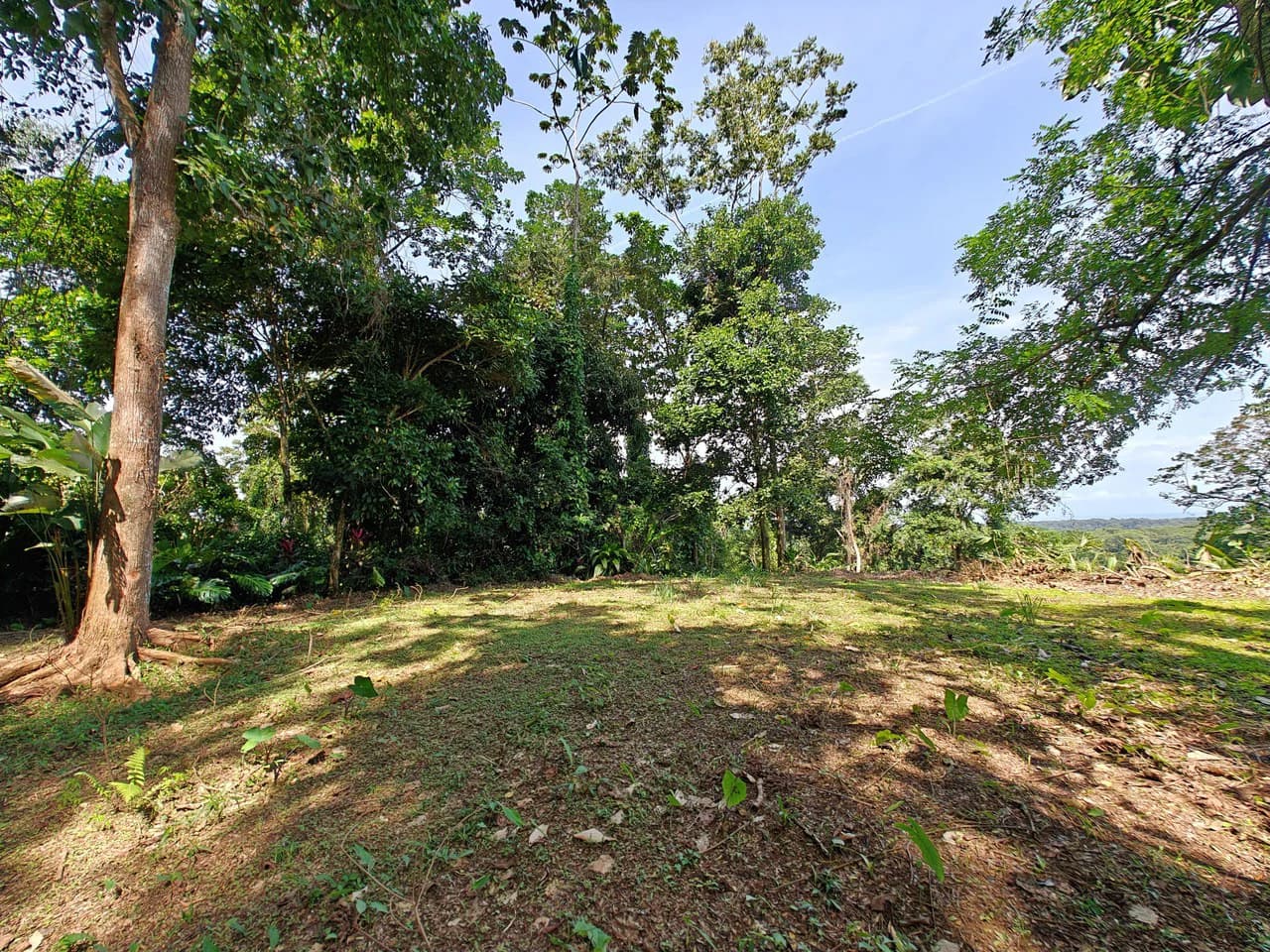 61,618m² of Land near Cahuita: With Existing Infrastructure and Ocean View - photo 6