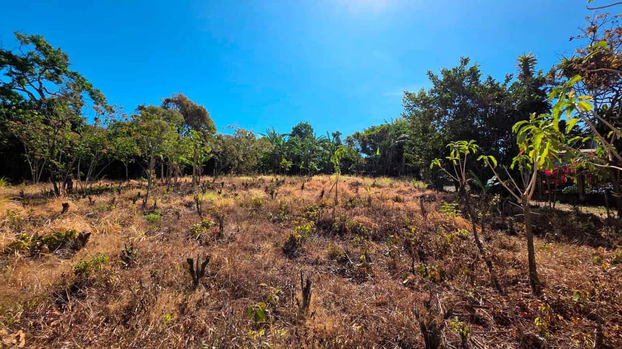 Lot for sale in Grecia, Costa Rica - photo 6