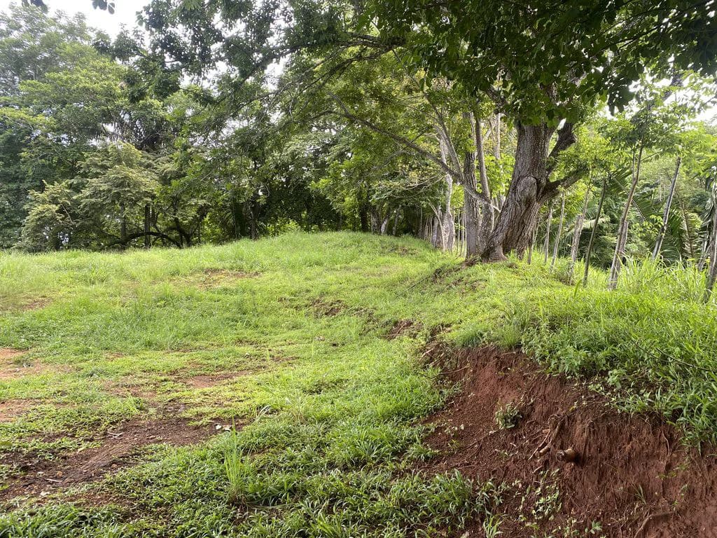 Finca Rio El Carmen: 3 HA Finca with Elevation Across from Renowned Rio Ora, 1 HA parcels available, Three 1700 m2 lots - All available in Rustic El Carmen - photo 8