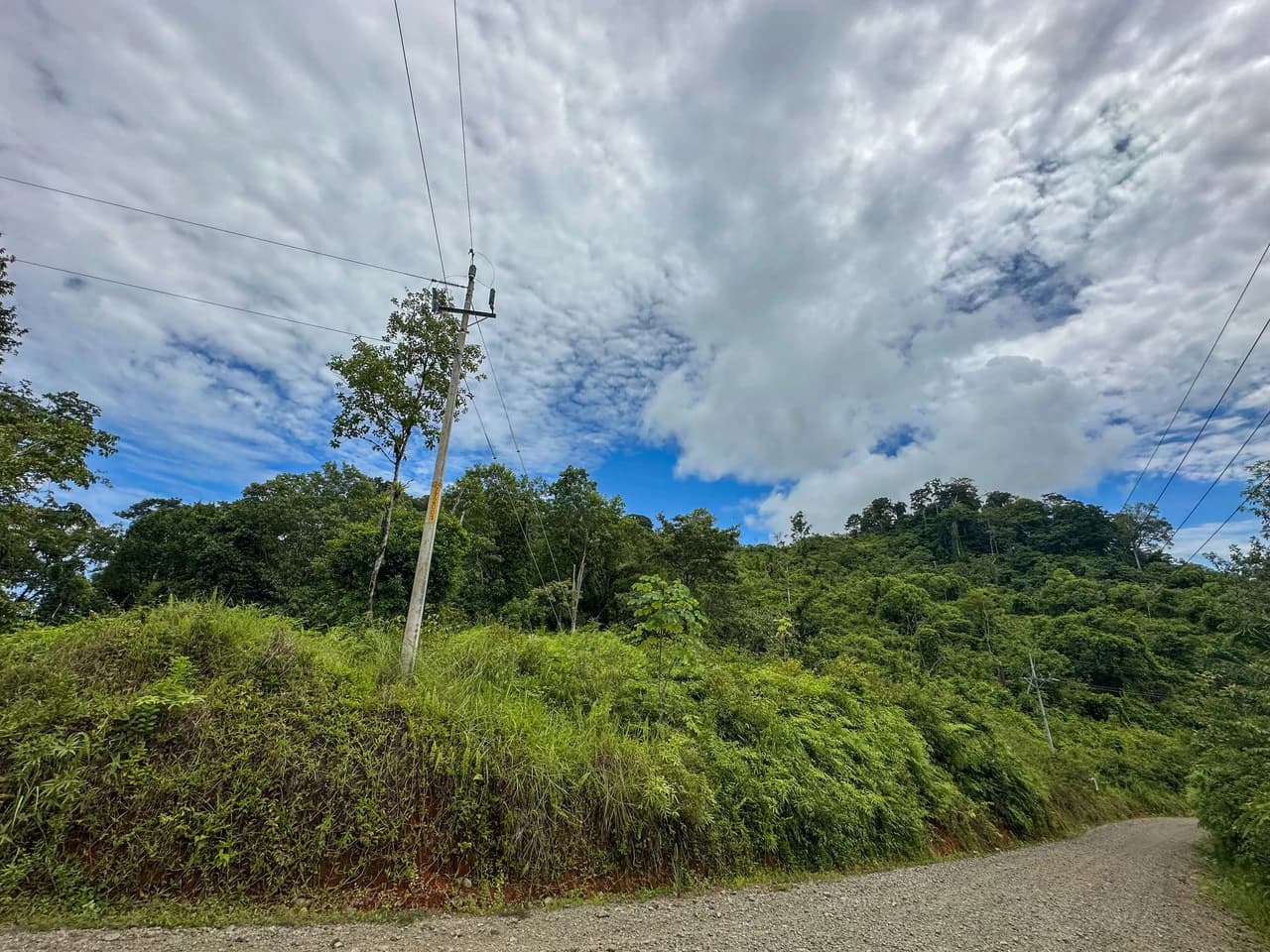 Costa Rican Gem with Conservation Potential: Preserve 26 Acres of Pristine Land - photo 7