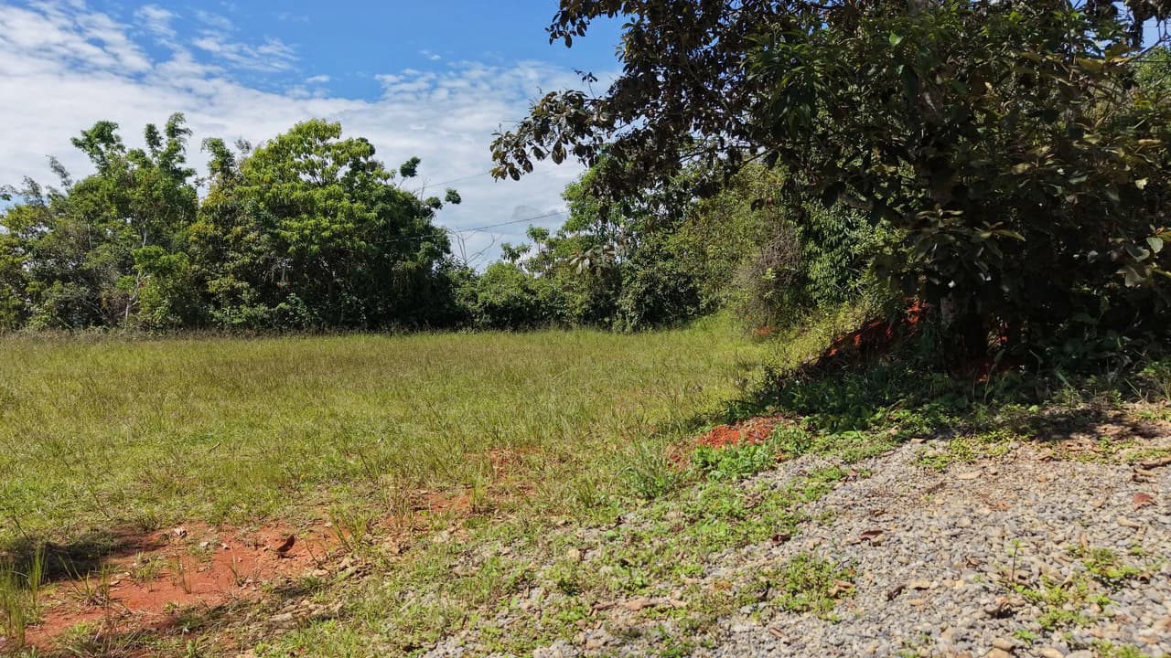 Mountain Home Construction Site For Sale in San Rafael Norte - photo 5