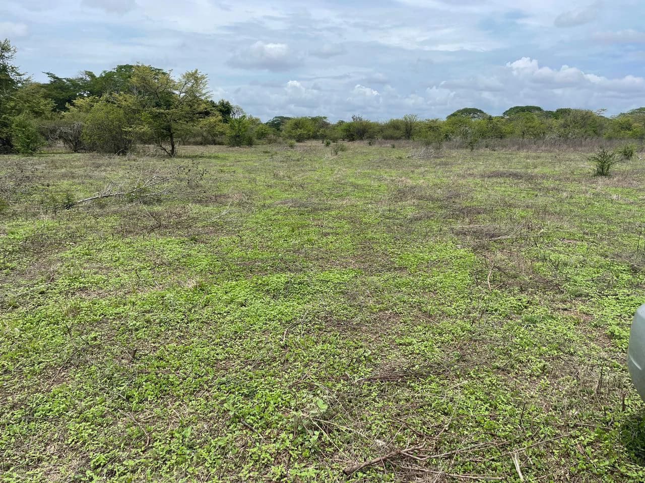 BEST PRICE! For sale comercial Property for warehouses or free zone, 1 km from Liberia Airport, Guanacaste, CR - photo 9