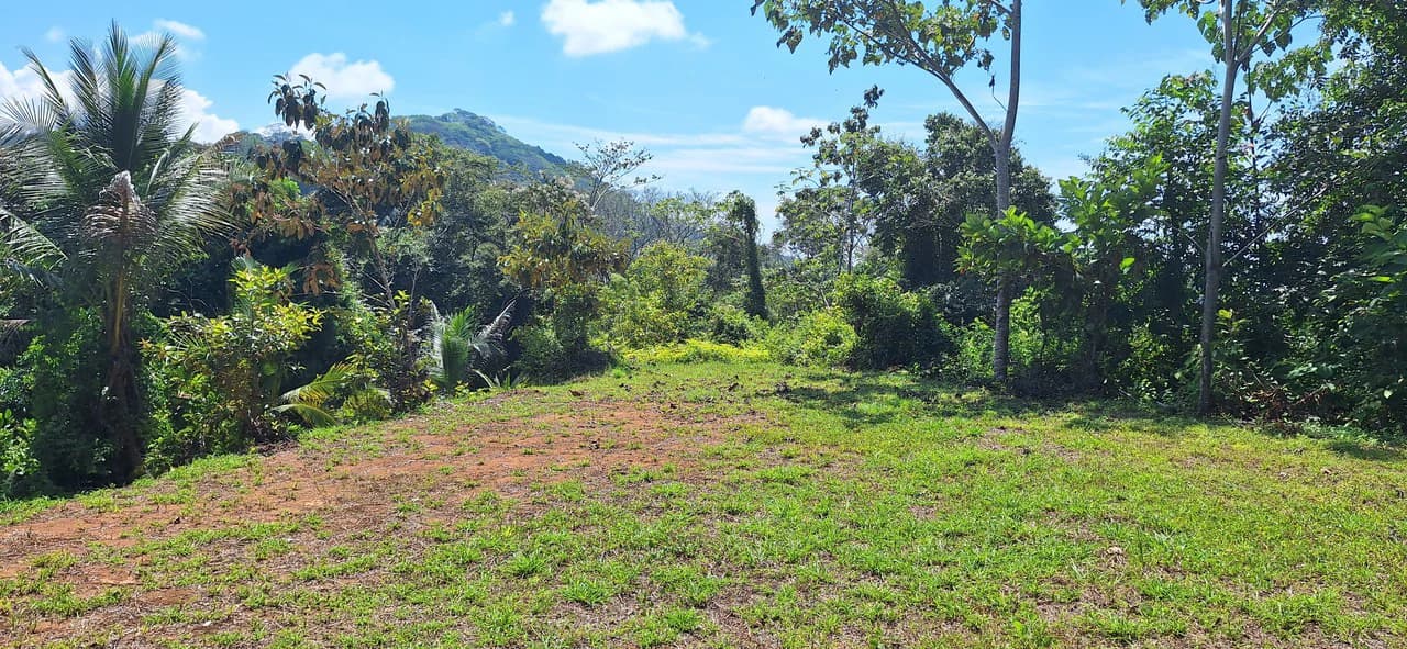 Exceptional Development Opportunity 71 acre Riverfront & Ocean View in Hatillo - photo 29