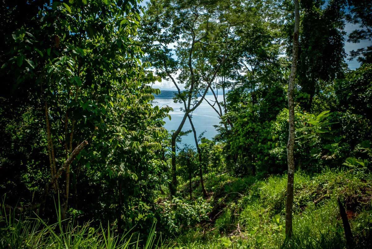 Rincon Mountain Land Gulf View | A Breathtaking Landscapes of Rincon - photo 21