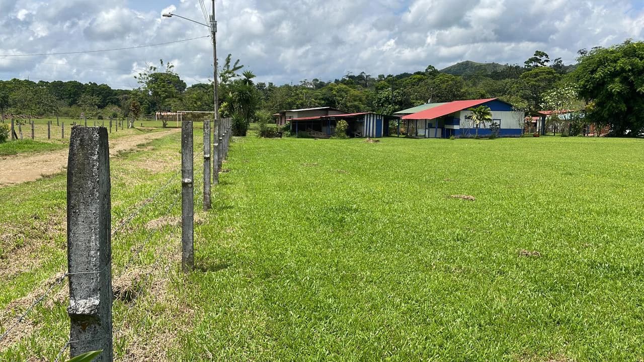 Mountain Agricultural Land For Sale in Bijagua - photo 36