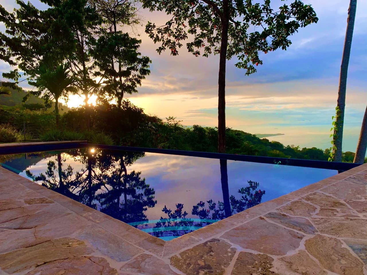2 ACRES – 2 Bedroom Whales Tale Ocean View Home In Costa Verde Estates Gated Community!!!: 79 ACRES – Amazing Farm On Ridge Top With Whale’s Tail Ocean View And 800 Exotic Tropical Fruit Trees!!!!! - photo 4