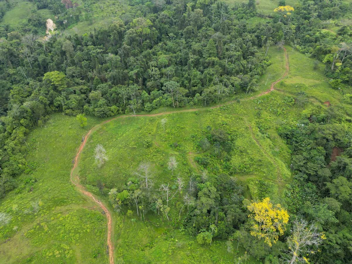 Fire Sale Farm with Ocean View | Piedras Blancas, Osa Peninsula - photo 6