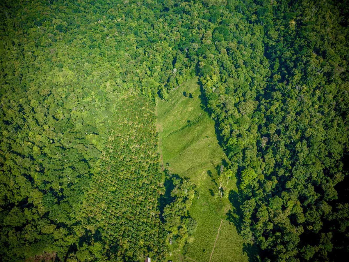 Rincon Massive Acreage and Gulf of Dulce Views