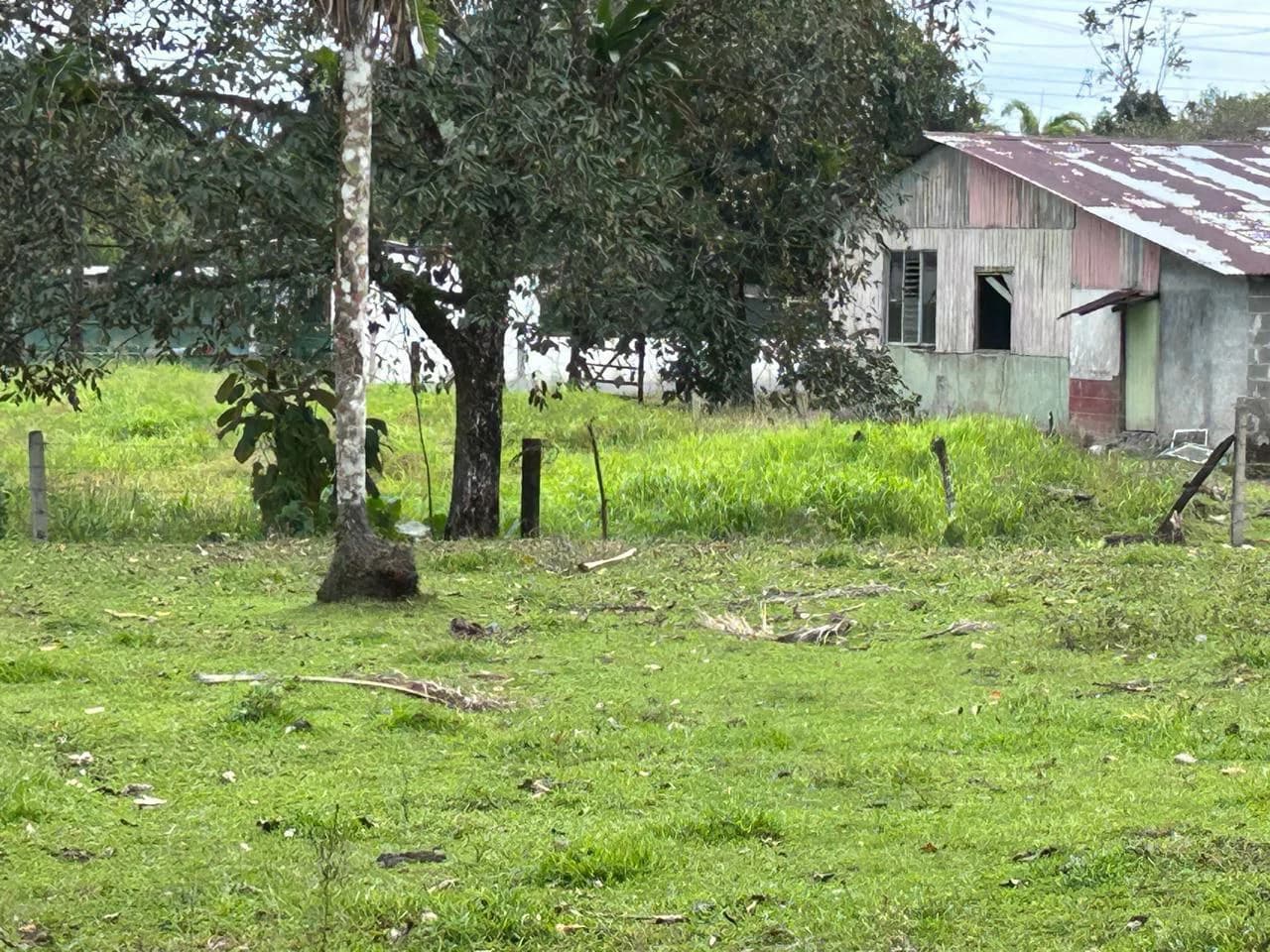 Land for Sale 4803 m2: Over 1 acre - photo 4