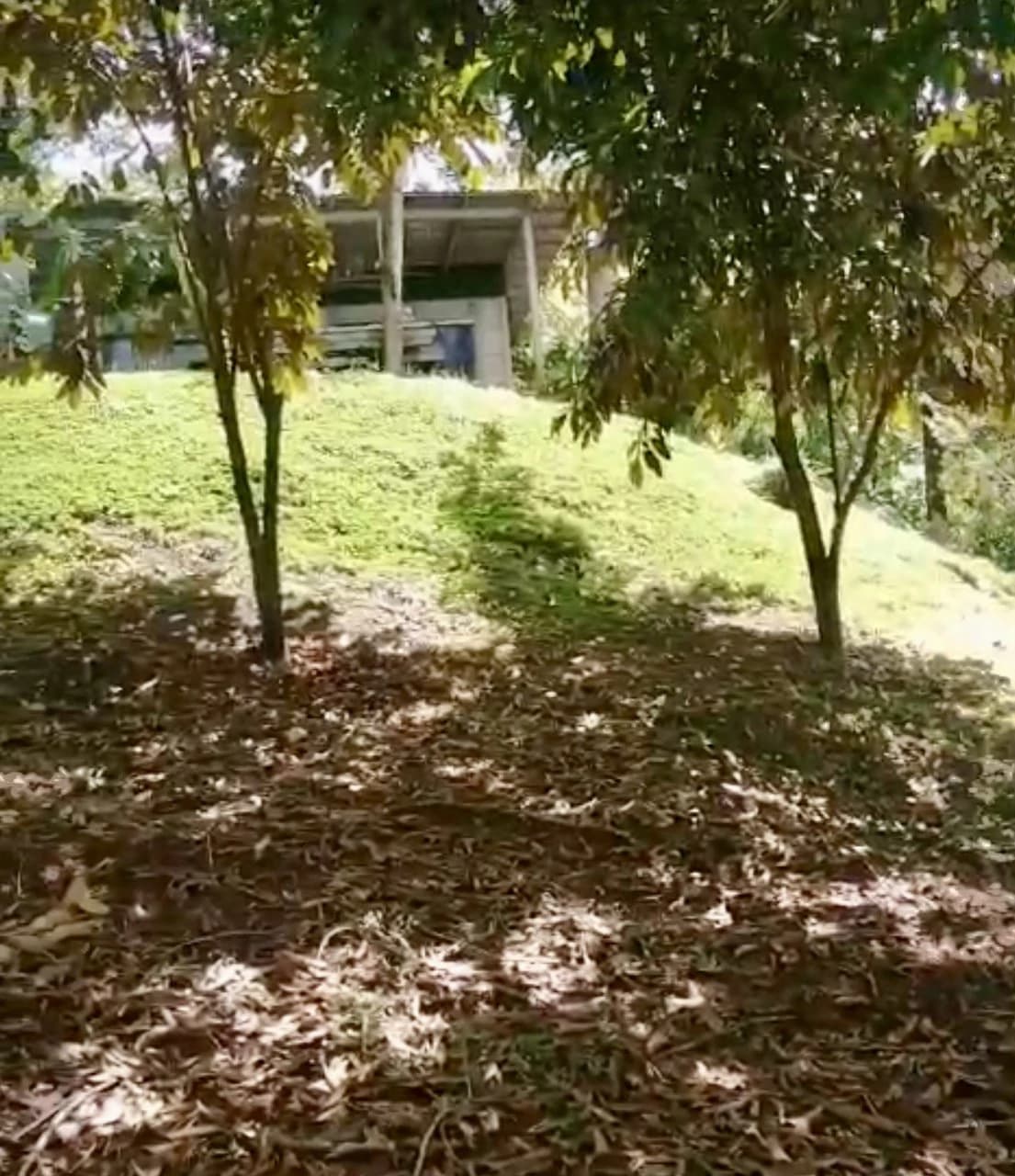 4.82 Acres Near La Fortuna, Costa Rica | Home + River + Vacation Rental Potential - photo 4