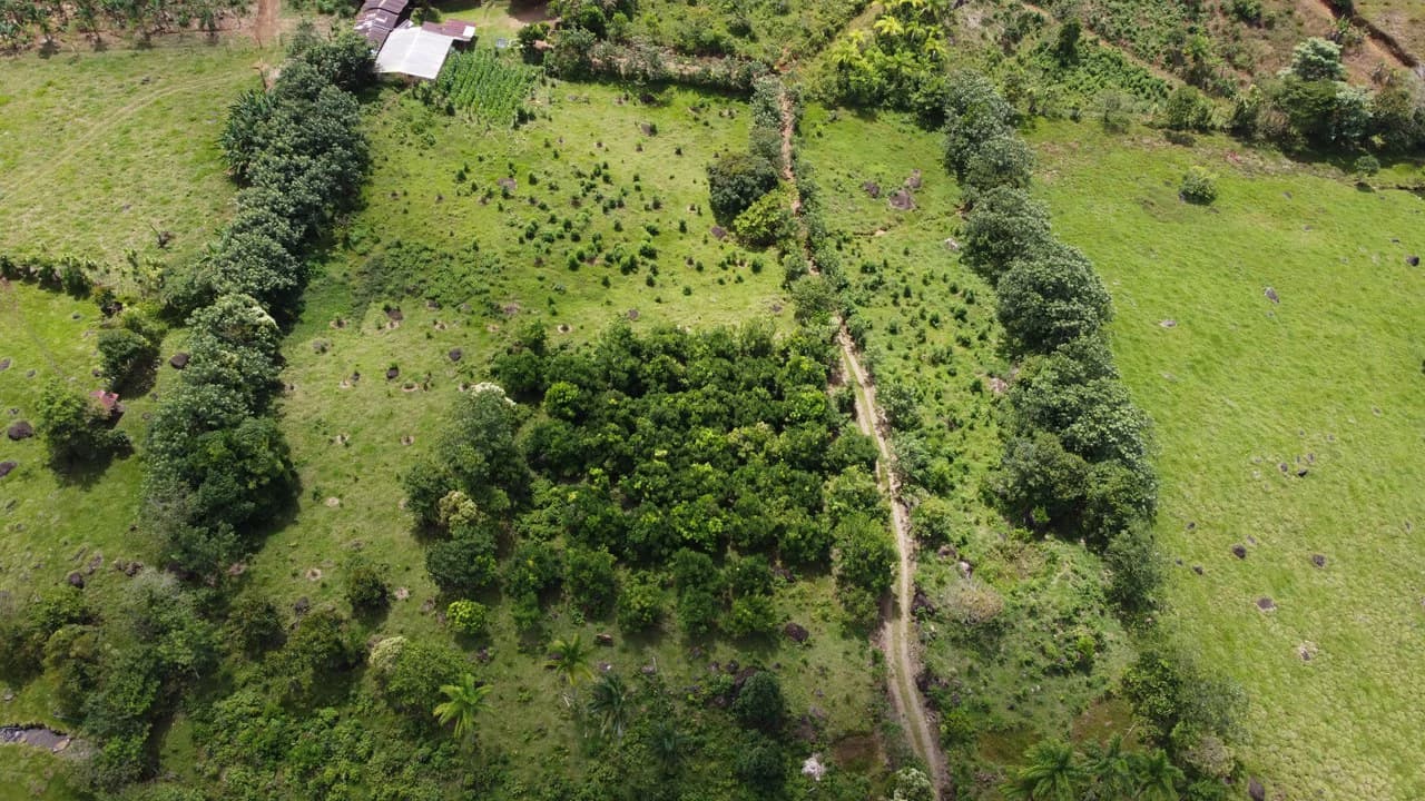 Se vende lote agrícola, en Cajón, Perez Zeledon.: Mountain Home Construction Site For Sale in Cajón - photo 23