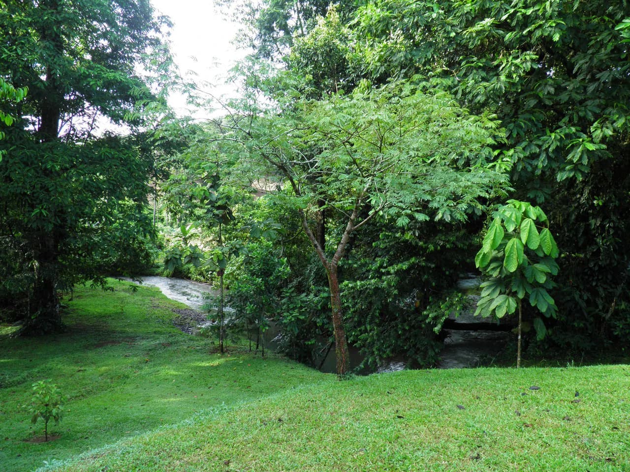 ECO SENDEROS: PRIVATE RAINFOREST RESERVE | 33 HA, LA VIRGEN DE SARAPIQUÍ - photo 8