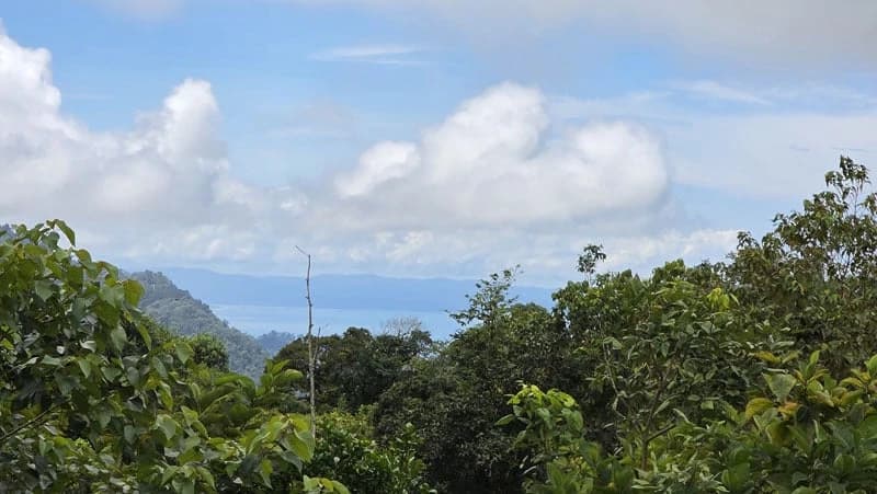 116-Hectare Finca for Sale Near Uvita with Whales Tail Views and 10 Waterfalls | La Faralla, Bahia Ballena, Uvita, Puntarenas, Costa Rica - photo 54