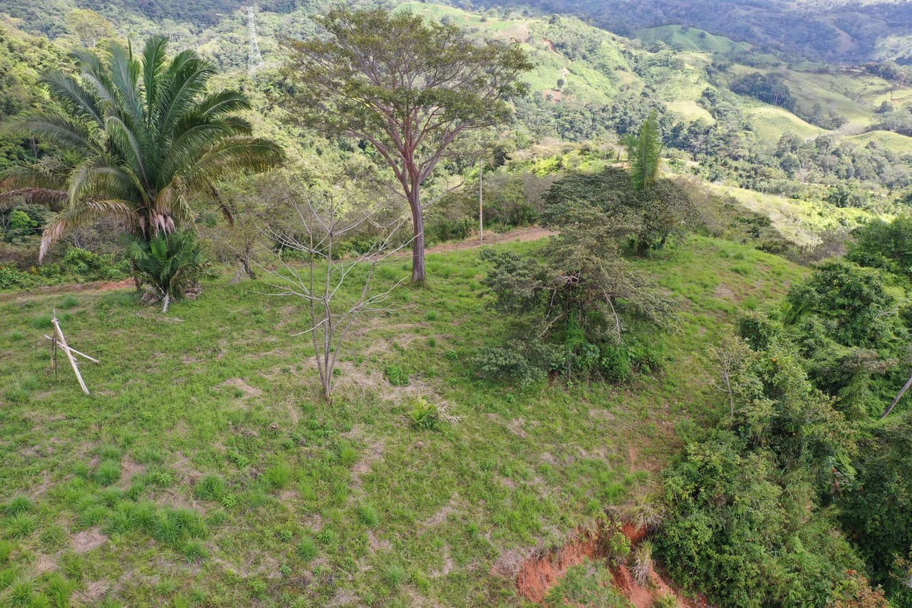 Sunset Ocean View Land with Cano Island Views: Home Construction Site For Sale in Ojochal - photo 10