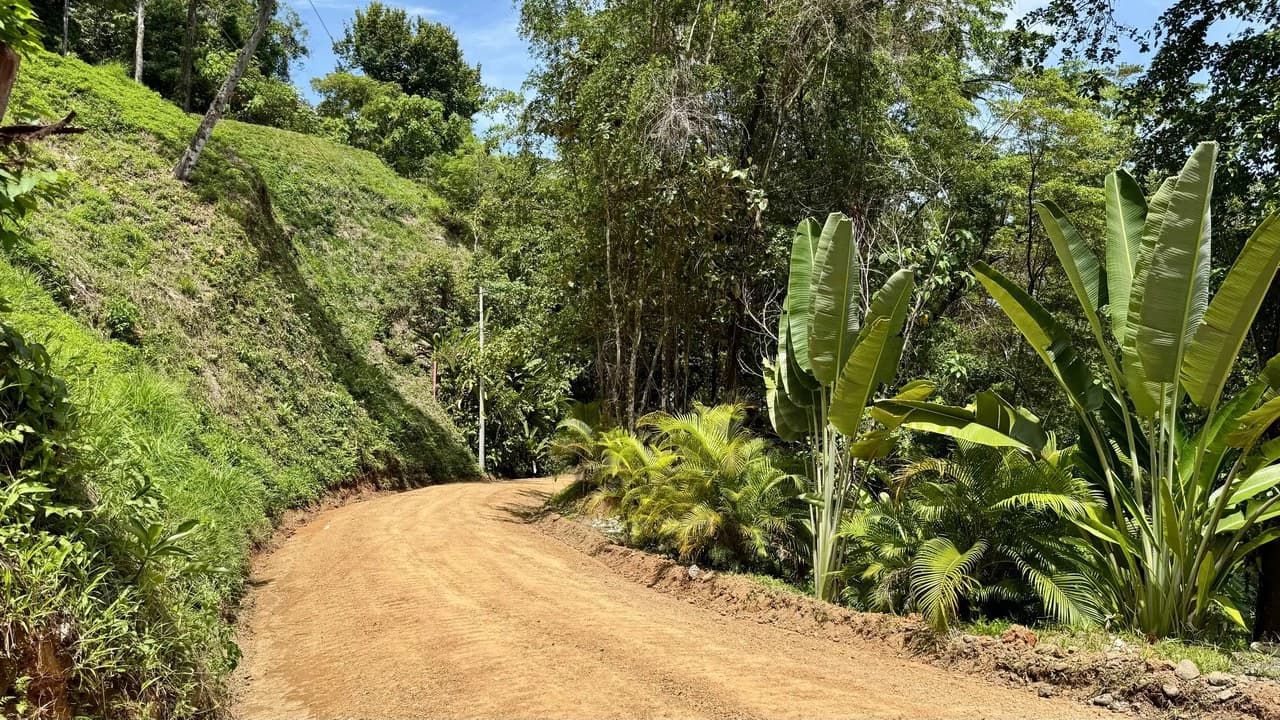Exclusive and Unique Ocean Views lot in the Hills of Uvita! - photo 5