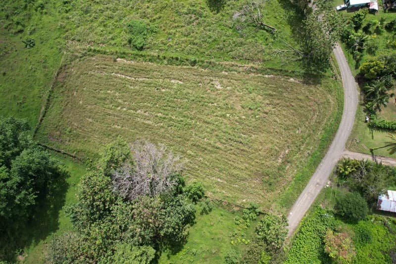Land For Sale with Excellent Location in La Amapola, Puerto Jimenez - photo 2