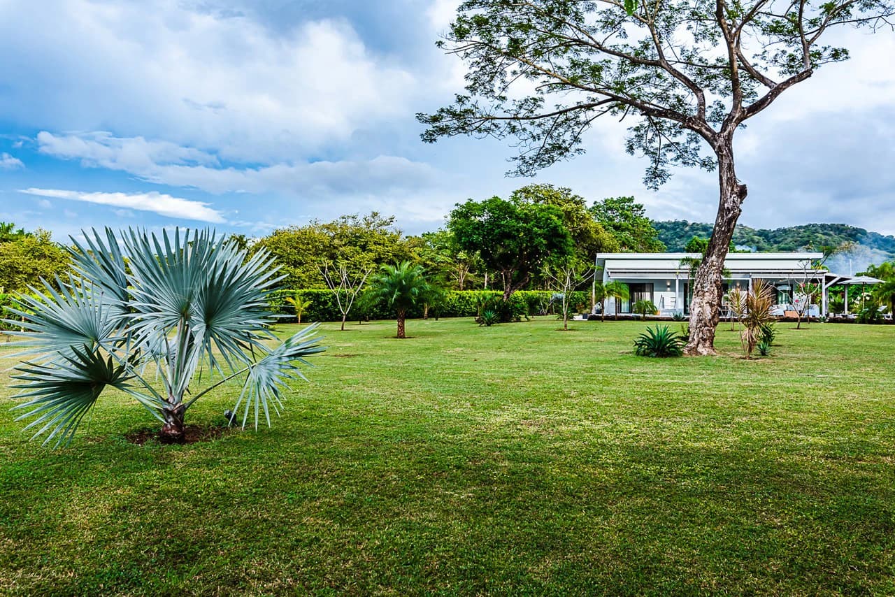 Casa Feliz: Tropical Oasis in La Josefina - photo 44