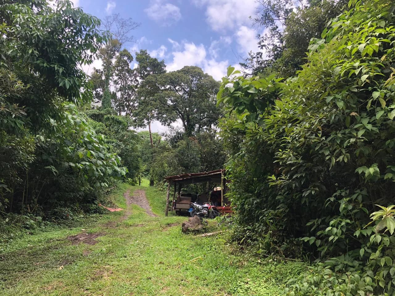 Hot Springs Property in Dos Ríos de Upala – Excellent Investment Opportunity - photo 39