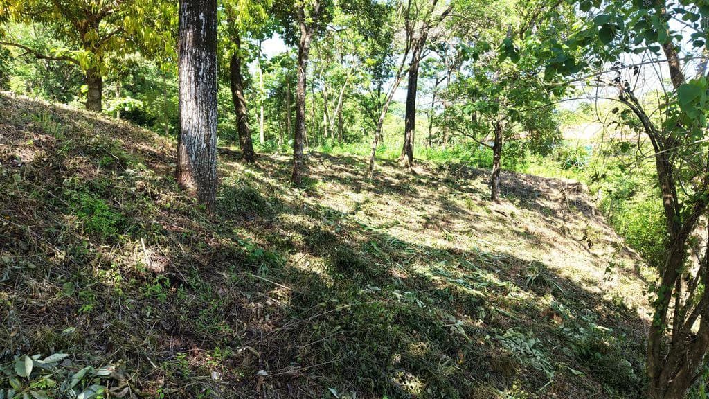 Lote Budry: Exclusive Elevated Lot with Stunning Mountain & Jungle Views Near Samara Beach - photo 7