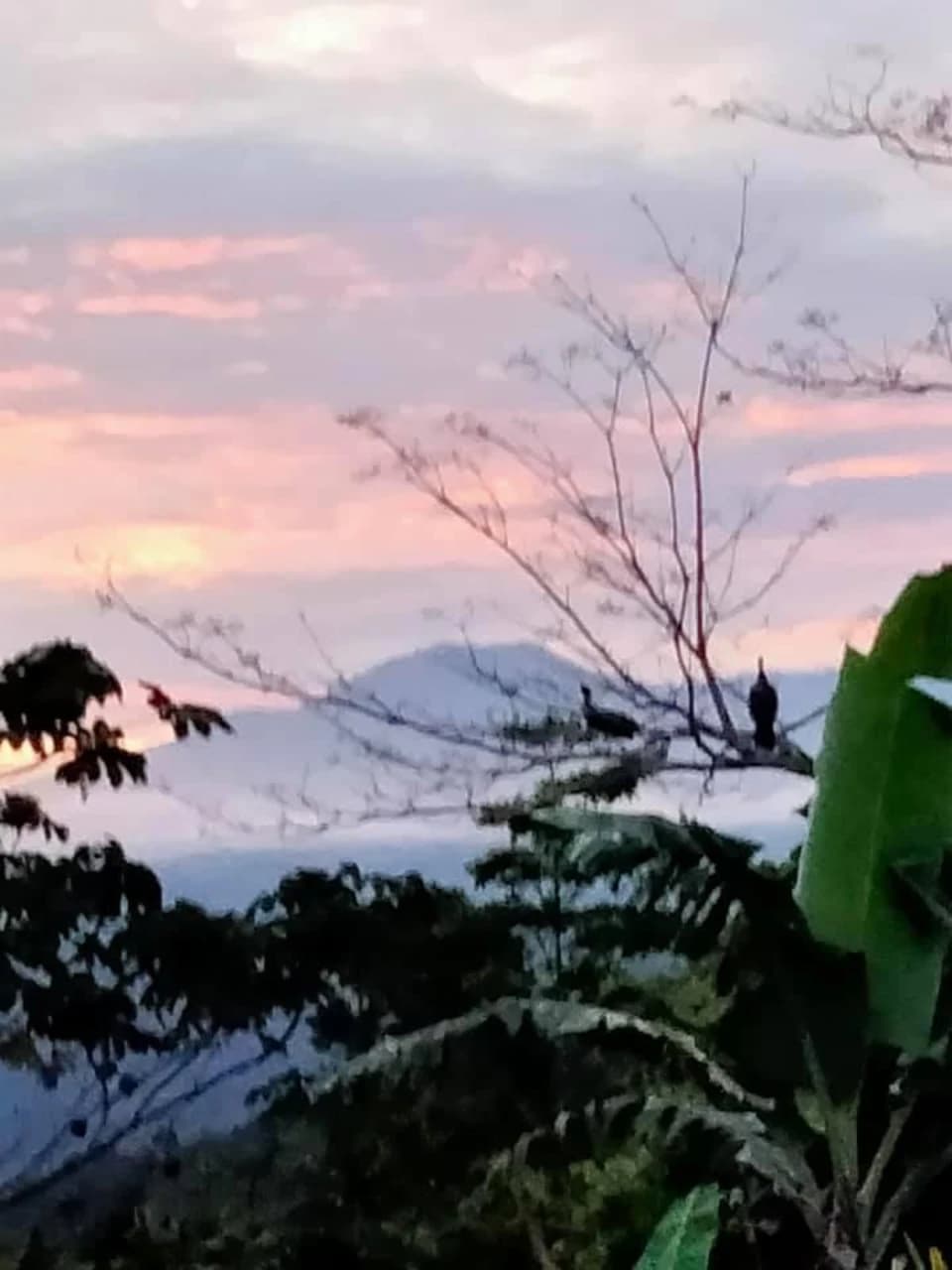 Costa Rica Ecolodge Retreat: TURNKEY COSTA RICA ECOLODGE & WELLNESS RETREAT | 28 ACRES + 5 GUEST CABINS | 45 MINUTES FROM LA FORTUNA - photo 26