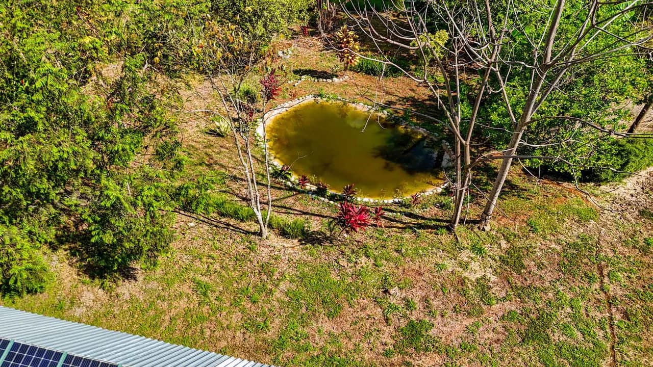 32 Acre Self Sustainable Farm with House Close Ojochal - photo 4