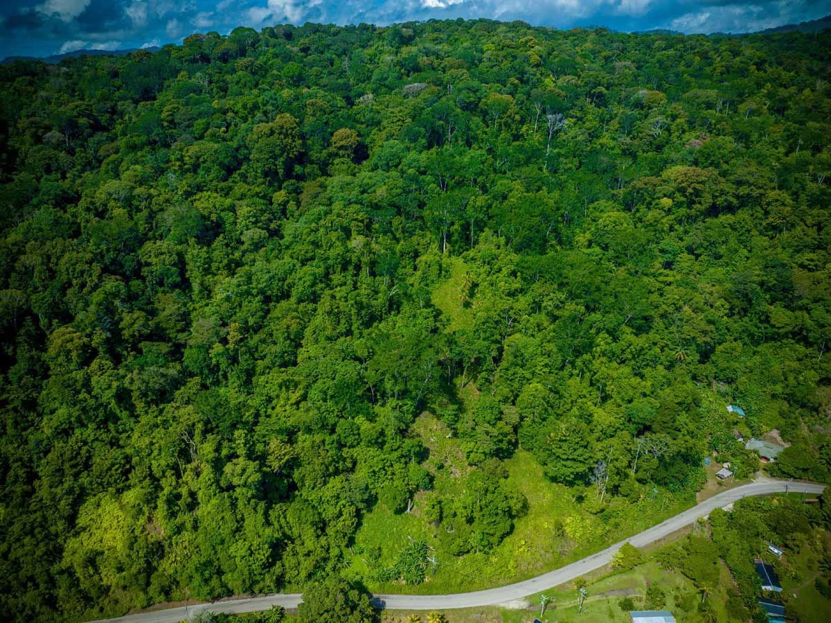 Rincon Mountain Land Gulf View | A Breathtaking Landscapes of Rincon - photo 10