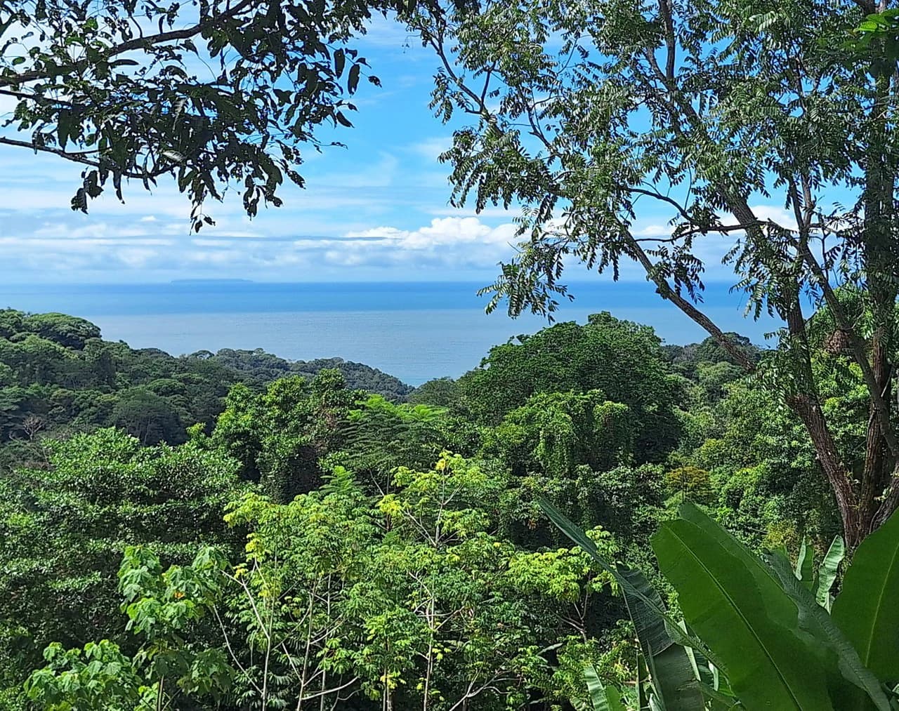 Exceptional Ocean & Mountain View Property in Pinuela Arriba, Costa Rica - photo 2