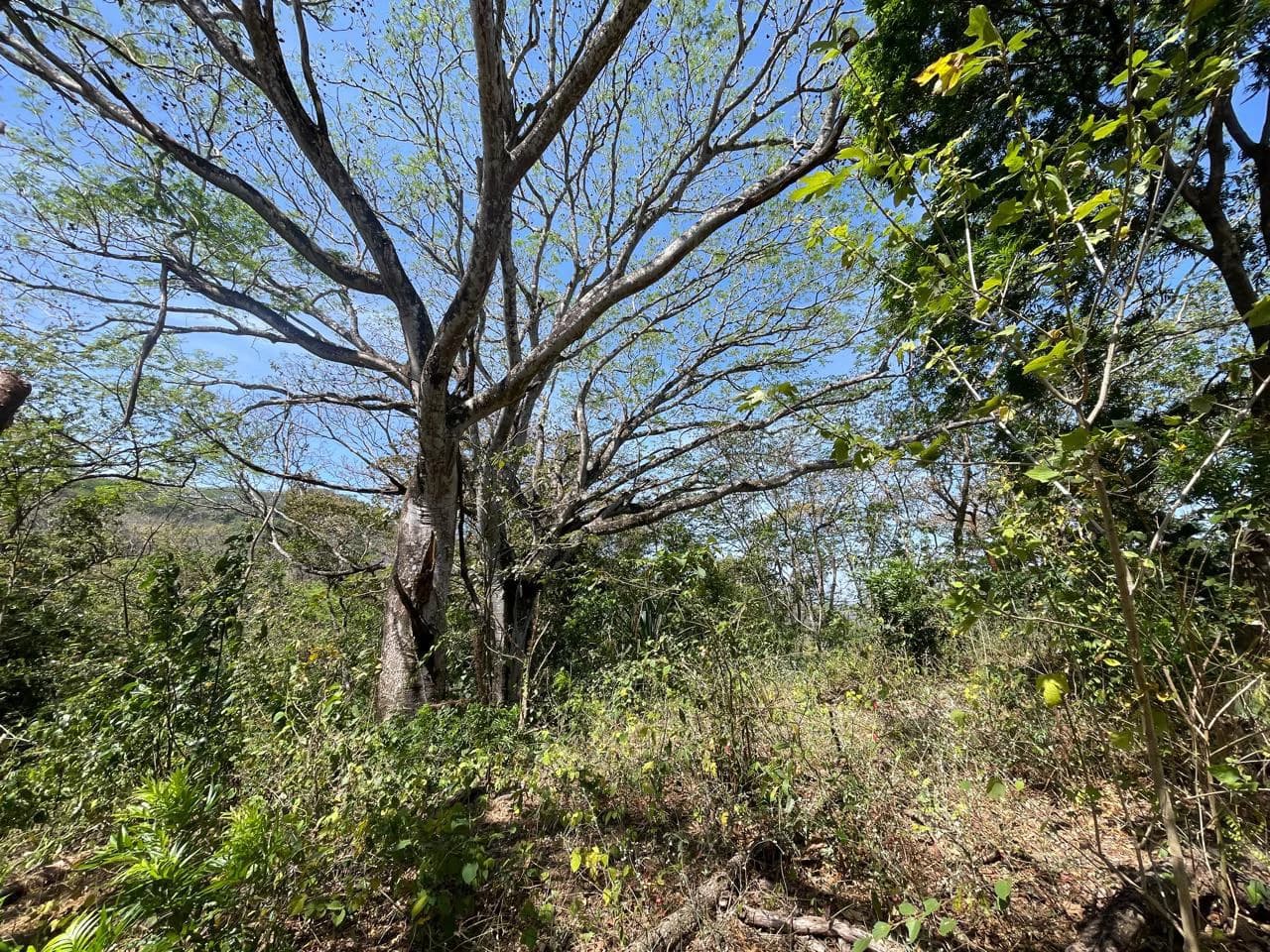 Ocean view property for sale Rodeo Ciudad Colon San Jose Costa Rica - photo 21