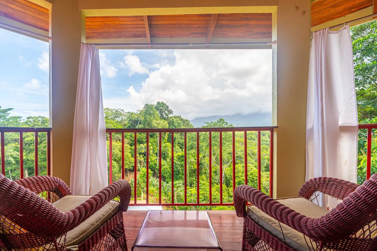 Amazing Mountain View and Ocean View House and Guest House on 4.5 Acres of land in Ojochal - photo 21