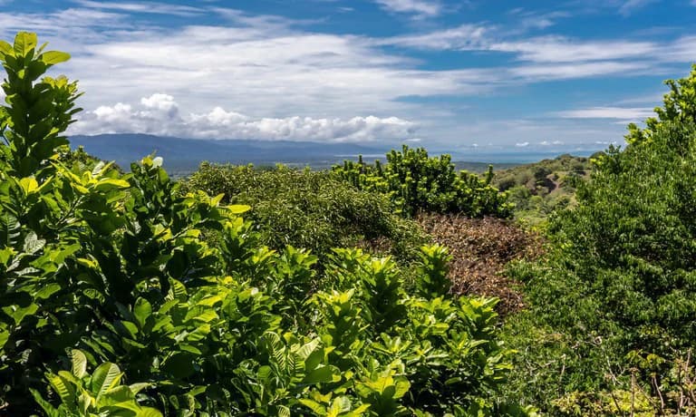 VILLA #1: Live or invest in a property that has it all: the perfect harmony between luxury and nature - photo 7