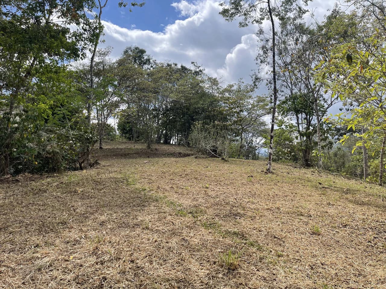 Elevated Two and a Half Acres with Cool Breeze in San Isidro del General - photo 22