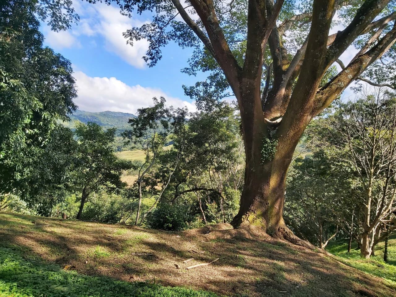 Mountain and Countryside Home Construction Site For Sale in Desmonte - photo 19