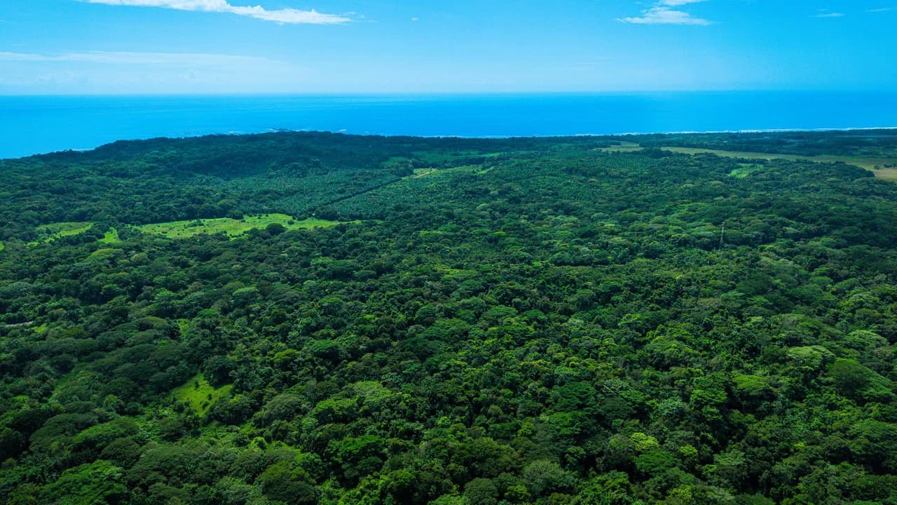 4,850 Acre Beachfront Legacy Ranch Esterillos Central Pacific Coast - photo 25
