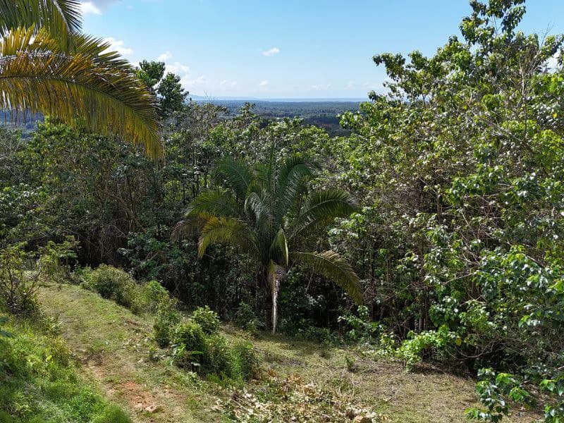 Gorgeous Ocean View Acreage in San Buenas - photo 4