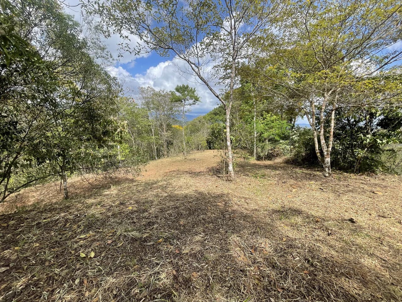 Elevated Two and a Half Acres with Cool Breeze in San Isidro del General - photo 16