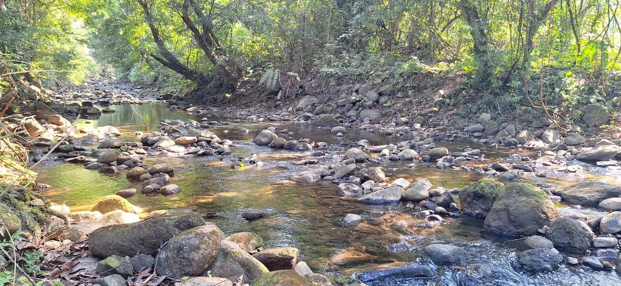 Exceptional Development Opportunity 71 acre Riverfront & Ocean View in Hatillo - photo 2