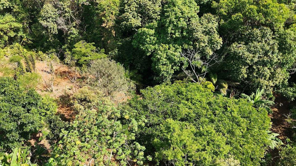 Home Construction Site For Sale in La Ceniza - photo 17