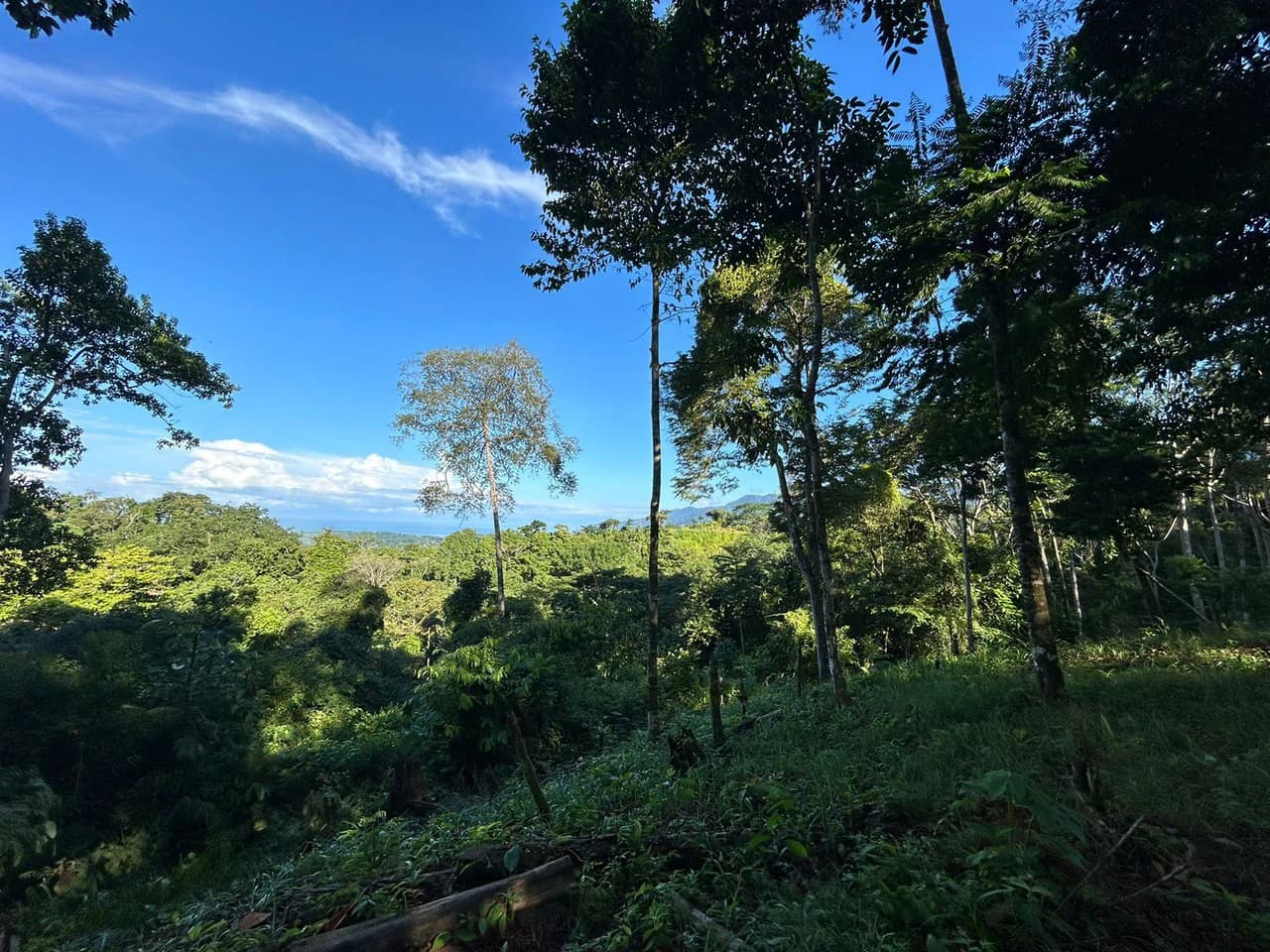 Marvelous Ocean View Parcel in Uvita. - photo 22