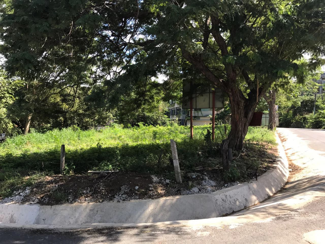 Commercial Property for Sale Located in Playa Hermosa, Guanacaste - photo 4
