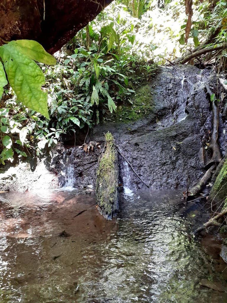 SECLUDED PARADISE WITH STUNNING VIEWS, WATERFALLS & ABUNDANT WILDLIFE - photo 22