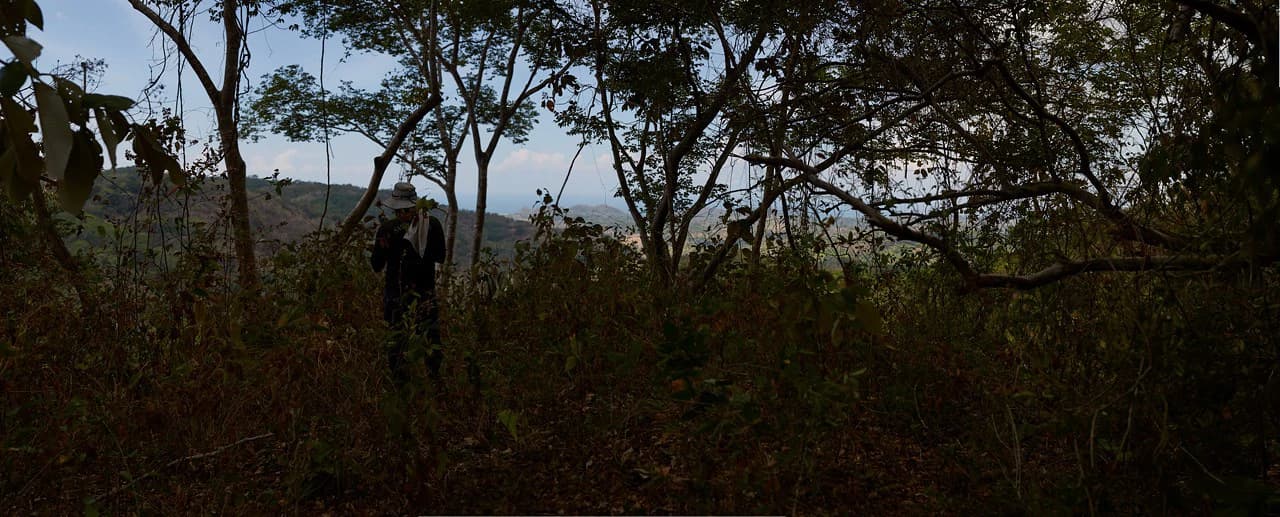 Finca Gomez: 214 Hectares | Ocean Views, Rivers & Development Potential – Guanacaste - photo 18