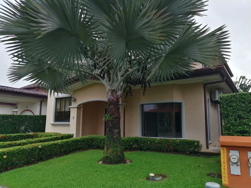 Incredible Casa Rimon, Huge 2 Story Home with Pool in Bejuco: Walk to the Beach from a rare 4 bedroom home! - photo 6