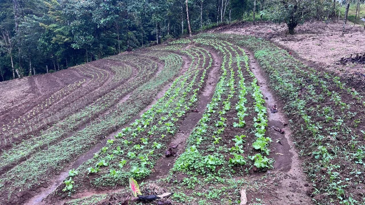 Spectacular 72.44 acres: Costa Rica Nature Estate | Private Waterfall, River, Home & Spectacular Views | Near La Fortuna - photo 2