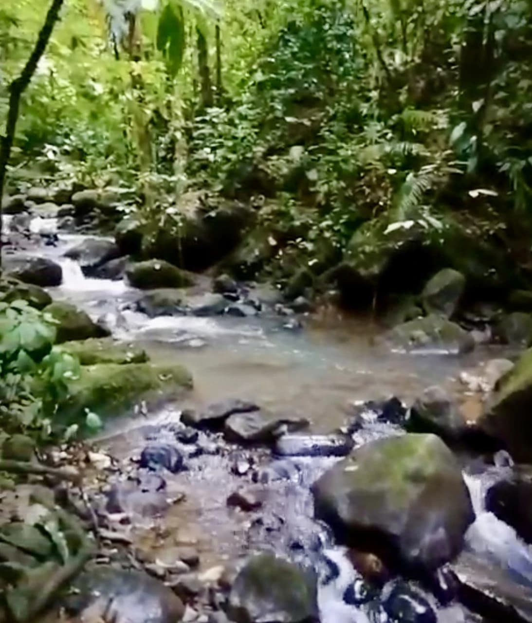 4.82 Acres Near La Fortuna, Costa Rica | Home + River + Vacation Rental Potential