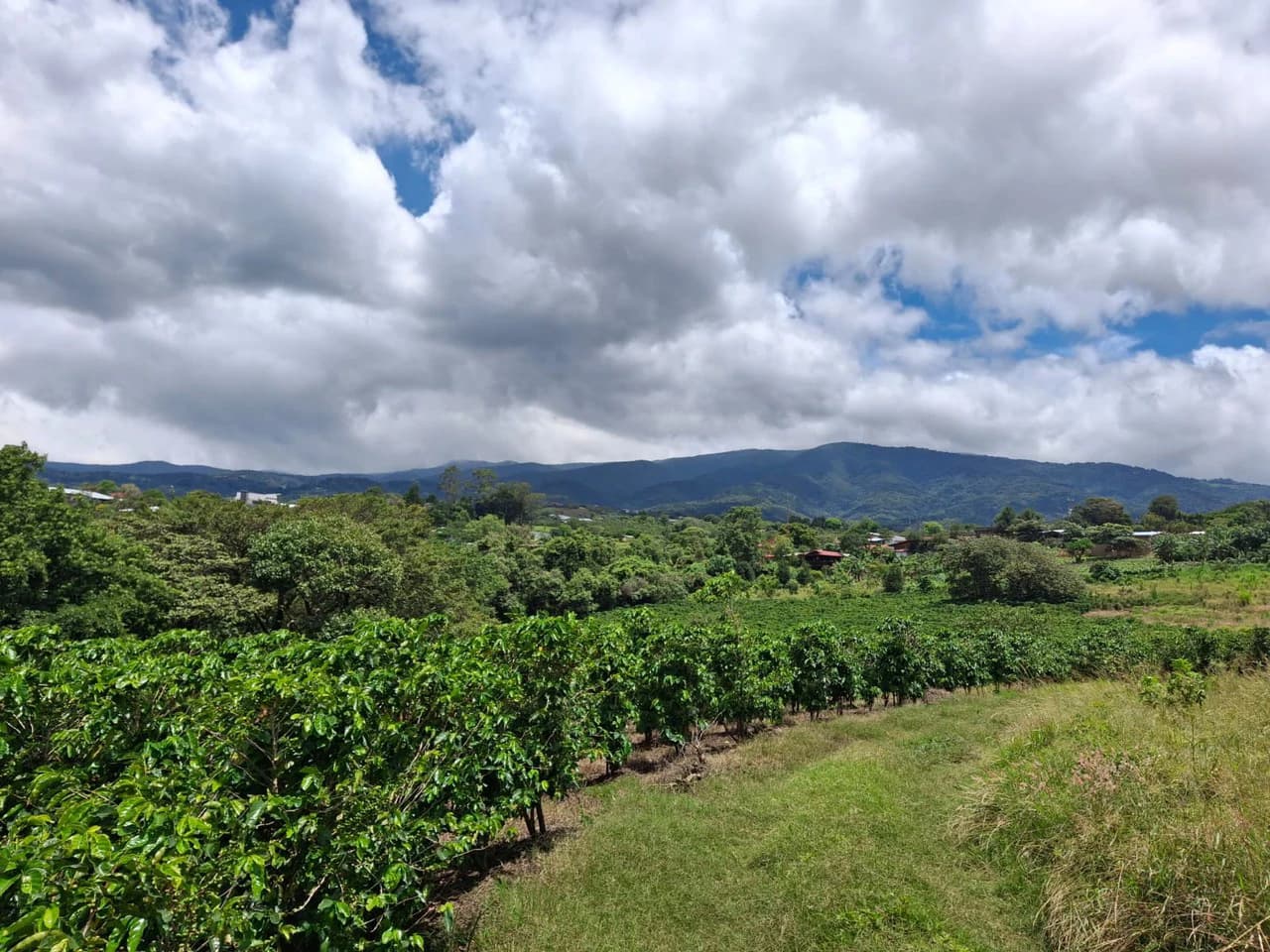 Flat Development Parcel: 4 ha Prime Flat Land - photo 6