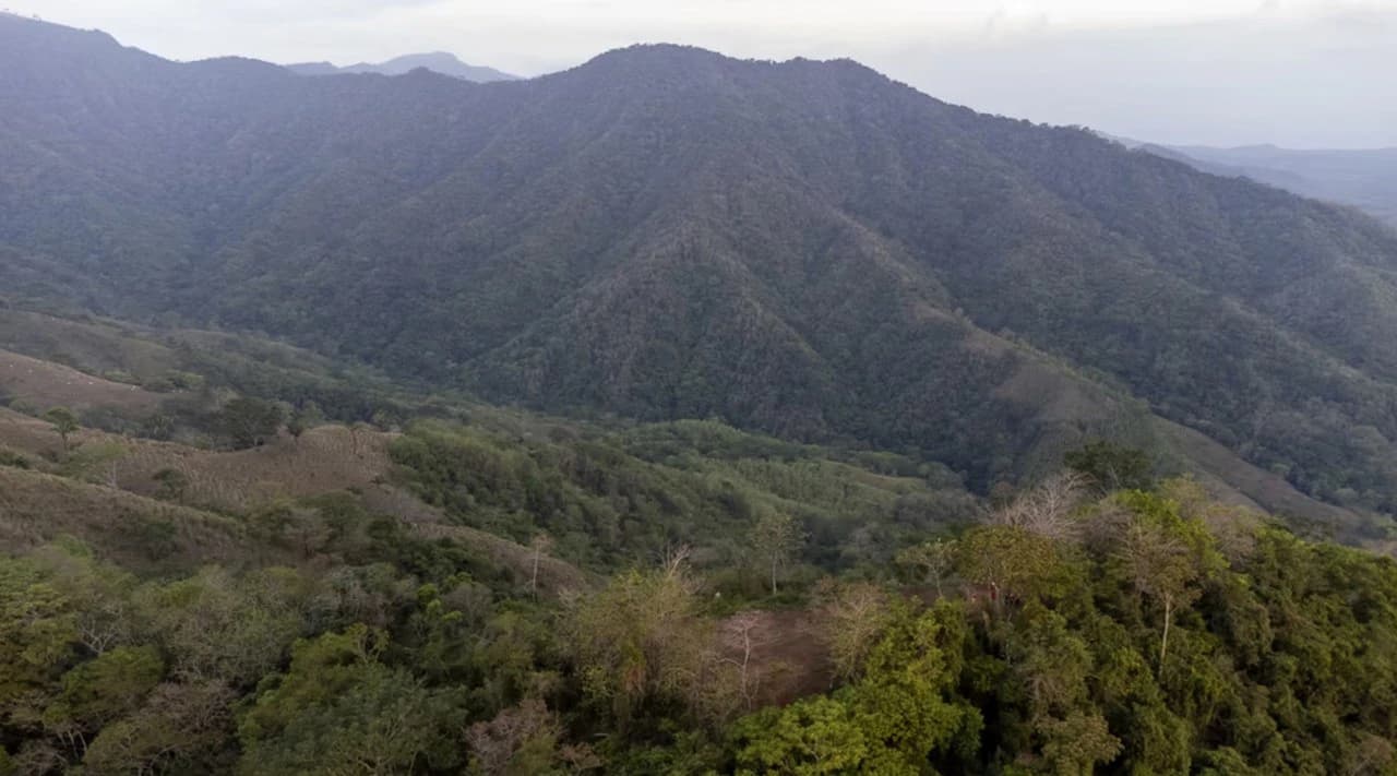 Land for sale Bejuco Nandayure Guanacaste Costa Rica - photo 3