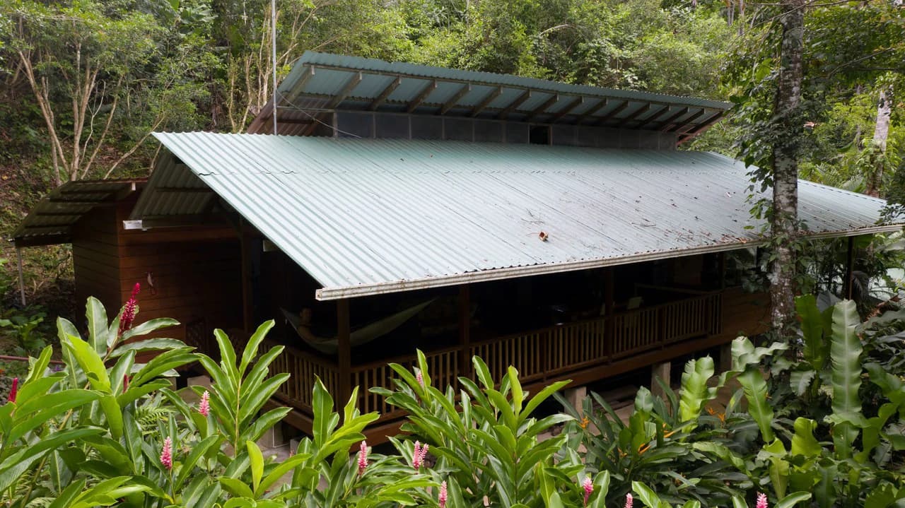 4 Bd/3 Ba - Two Caribbean Homes w/ Pool, on 5000m²: Dual Home Jungle Property in Punta Uva - photo 16