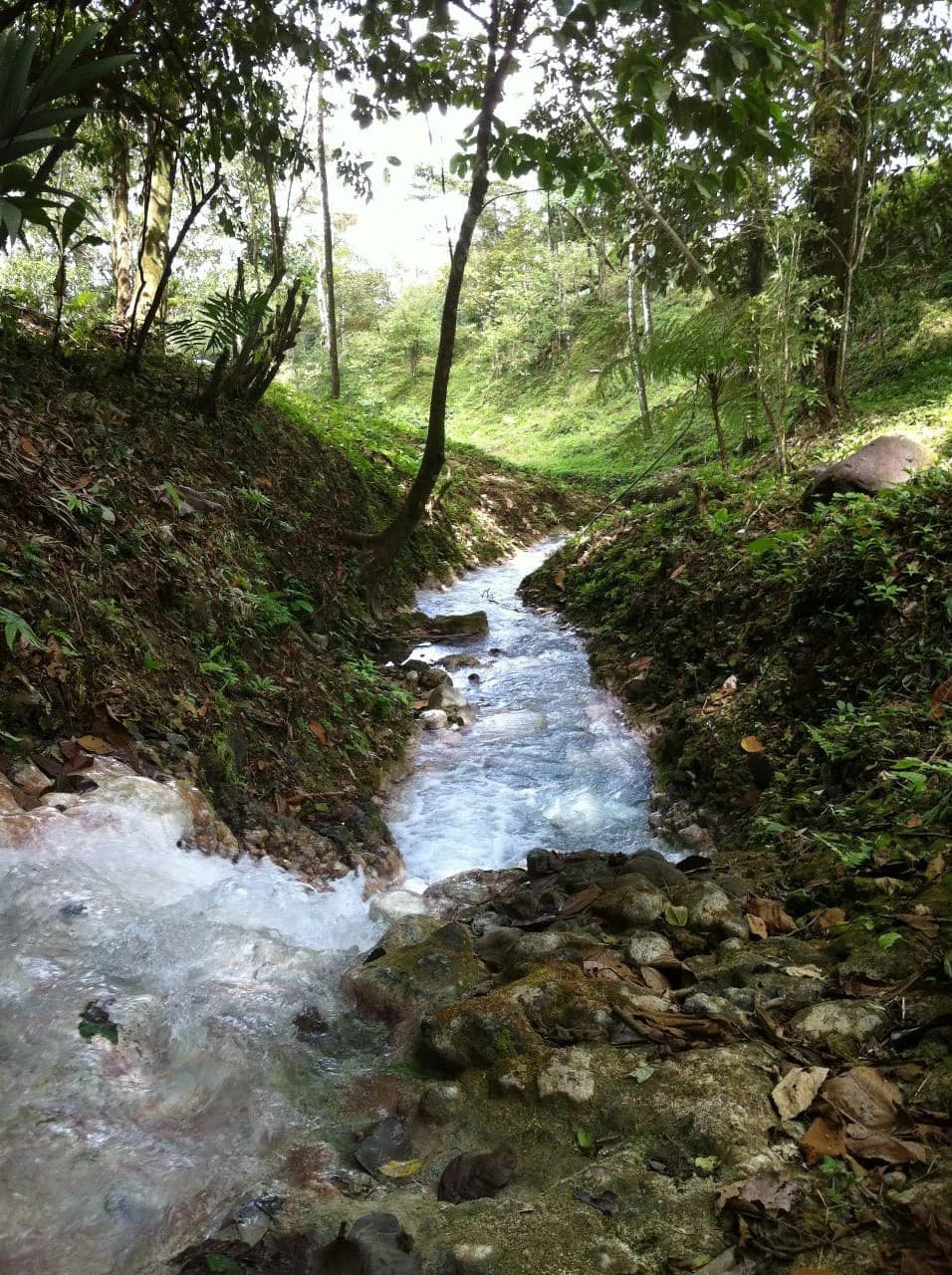 Hot and Cold Thermal Springs for Sale – Beautiful Property in Dos Ríos, Alajuela with Excellent Commercial Potential - photo 82