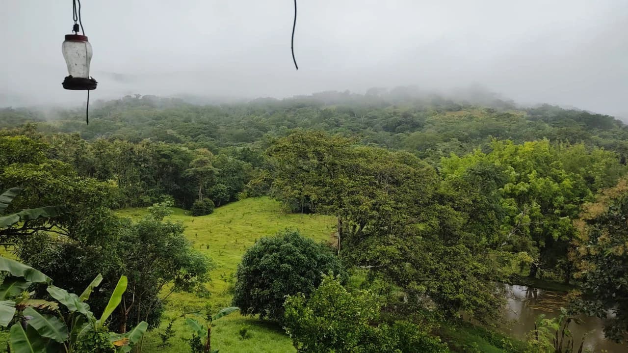 Agricultural Farm for Sale in the mountains of Hojancha, Beautiful 25-acre property with floating lake Apartment and Huge main home - photo 26