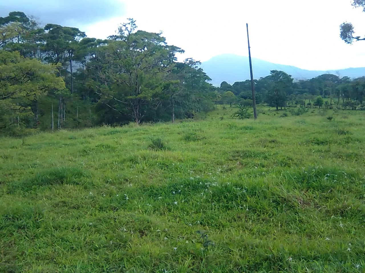 Cattle farm for sale in Aguas Claras with 1 corral and enchanting views - photo 8